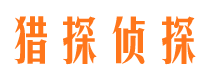 阳山市调查公司